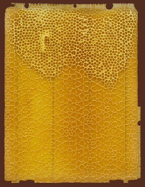 Bienenwabe