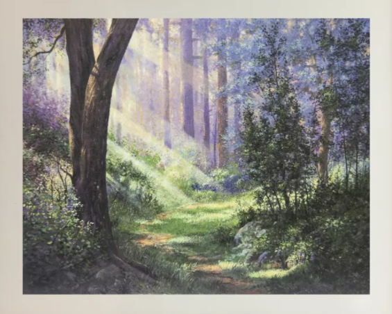 Forest Glade in Gray