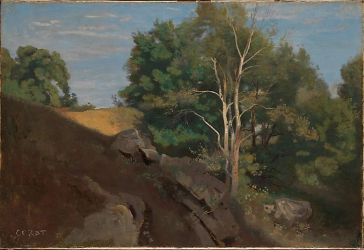 Trees on a Hillside